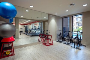 One Bedroom Apartments for Rent in Houston, TX - Fitness Center (4)   